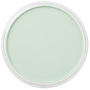 PanPastel Artists Pastels 640.8 Permanent Green Tint