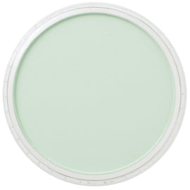 PanPastel Artists Pastels 640.8 Permanent Green Tint