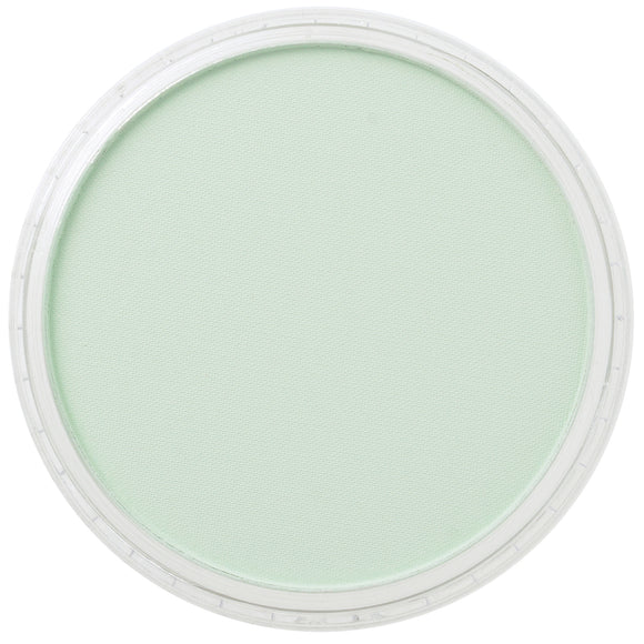PanPastel Artists Pastels 640.8 Permanent Green Tint