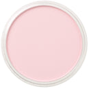 PanPastel Artists Pastels 340.8 Permanent Red Tint