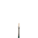 Winsor & Newton Filbert Hog Long Handle Oil Brush Nº 1