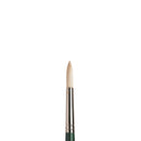 Winsor & Newton Round Hog Long Handle Oil Brush Nº 6