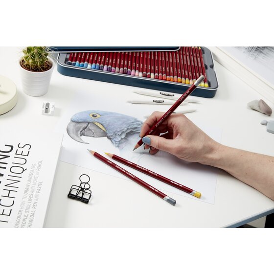 Derwent Pastel Artist Pencils set of 12