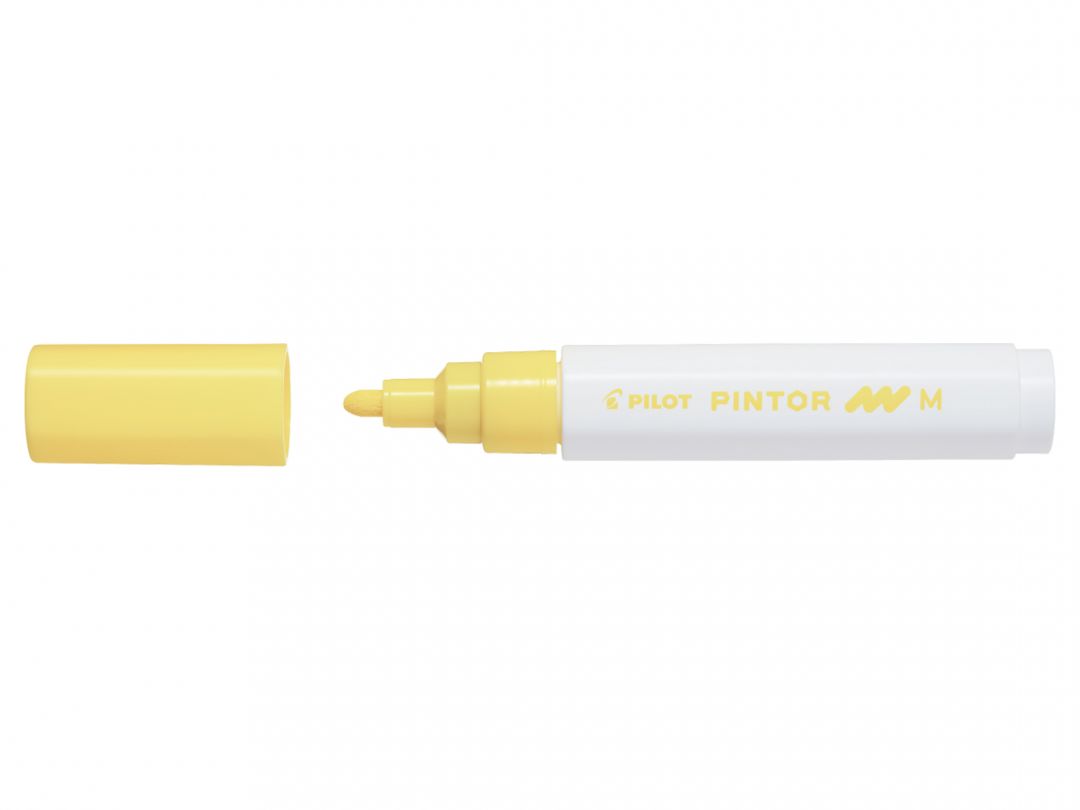 Pilot Pintor Marker Pen Bullet Tip Medium :1.4  mm-7