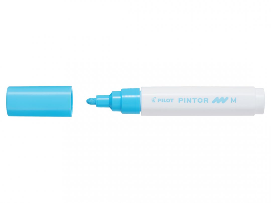 Pilot Pintor Marker Pen Bullet Tip Medium :1.4  mm-5