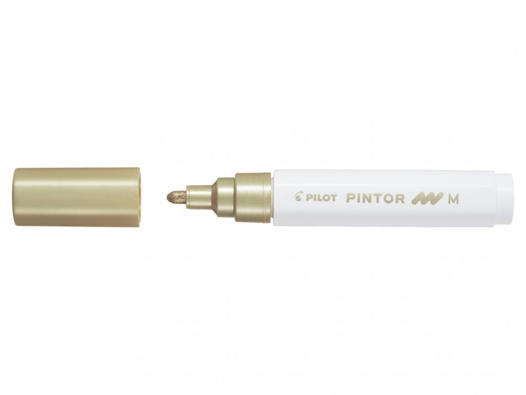 Pilot Pintor Marker Pen Bullet Tip Medium :1.4  mm-4