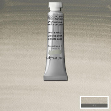 Winsor & Newton Professional Watercolour Paint 5ml : Davy's Gray