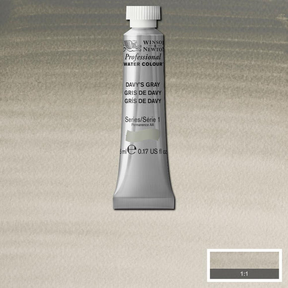 Winsor & Newton Professional Watercolour Paint 5ml : Davy's Gray