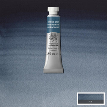 Winsor & Newton Professional Watercolour Paint 5ml : Payne's Gray