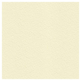 A4 Hammered textured Paper 100 gsm : Cream x 10 sheets