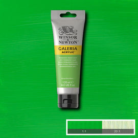 Winsor & Newton Galeria Permanent Light Green 120ml