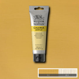 Winsor & Newton Galeria Naples Yellow 120ml