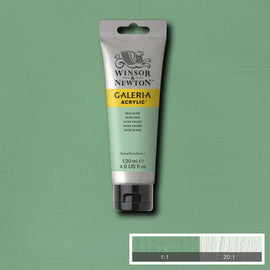 Winsor &  Newton Galeria Acrylic Olive Pale 120ml
