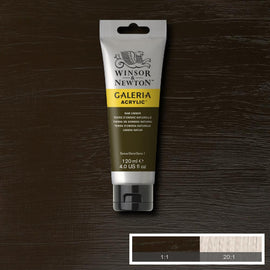 Winsor & Newton Galeria Acrylic Raw Umber 120ml