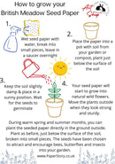 How to plant seed paper