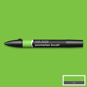 Bright Green colour Winsor & Newton Promarker alcohol pen, perfect for fine artists and illustrators. New design pens with a double end, each pen has a fine bullet point and a broad chisel nib, which allows you to easily switch between shading larger areas and precision detailing. Superb alcohol-based streak-free coverage so you can achieve flawless, print-like results.  