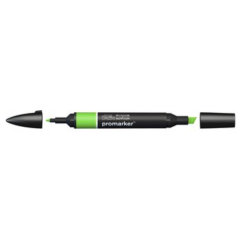 Bright Green colour Winsor & Newton Promarker alcohol pen, perfect for fine artists and illustrators. New design pens with a double end, each pen has a fine bullet point and a broad chisel nib, which allows you to easily switch between shading larger areas and precision detailing. Superb alcohol-based streak-free coverage so you can achieve flawless, print-like results.  