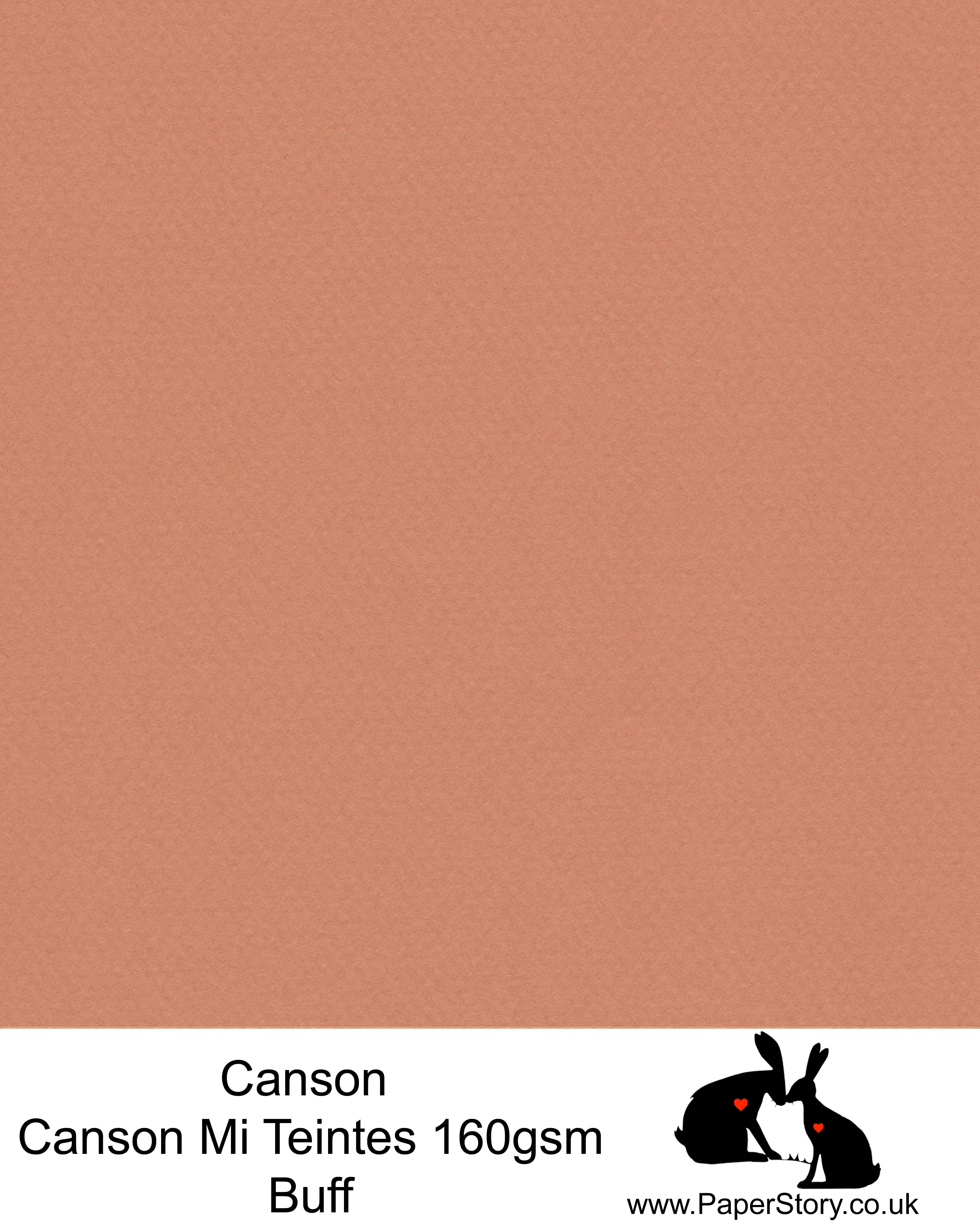 Canson Mi Teintes acid free, Buff, deep warm orange brown, hammered texture honeycomb surface paper 160 gsm. This is a popular and classic paper for all artists especially well respected for Pastel  and Papercutting made famous by Paper Panda. This paper has a honeycombed finish one side and fine grain the other. An authentic art paper, acid free with a  very high 50% cotton content. Canson Mi-Teintes complies with the ISO 9706 standard on permanence, a guarantee of excellent conservation  