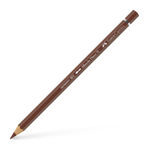 Albrecht Dürer Artist Pencil Burnt Sienna 283