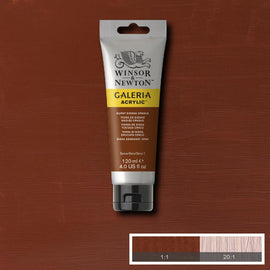 Winsor & Newton Galeria Acrylic Burnt Sienna Opaque 120ml