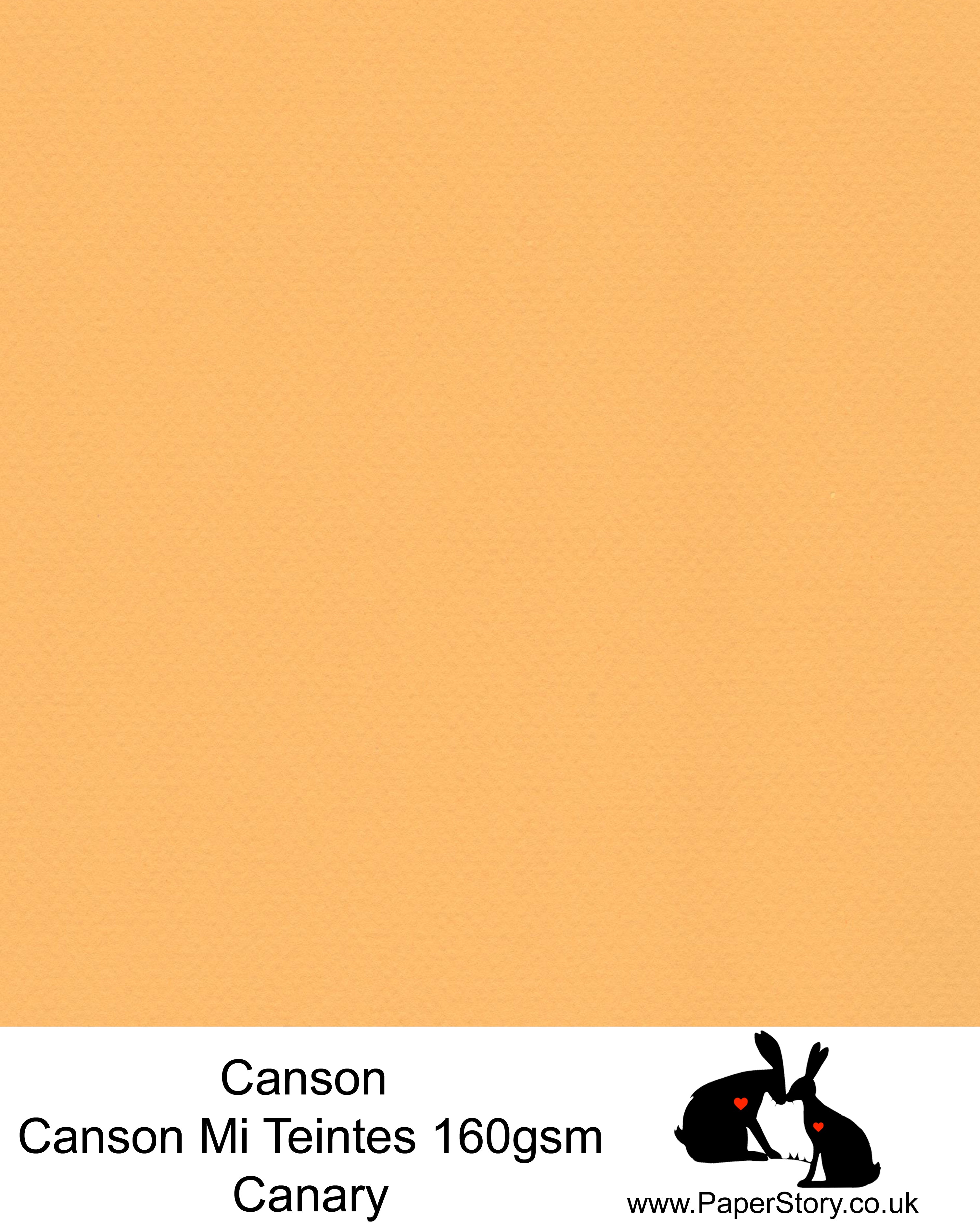 Canson Mi Teintes acid free, Canary warm orange sunset yellow, hammered texture honeycomb surface paper 160 gsm. This is a popular and classic paper for all artists especially well respected for Pastel  and Papercutting made famous by Paper Panda. This paper has a honeycombed finish one side and fine grain the other. An authentic art paper, acid free with a  very high 50% cotton content. Canson Mi-Teintes complies with the ISO 9706 standard on permanence, a guarantee of excellent conservation  