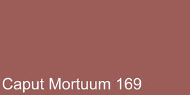 Polychromos Artist Pencil Caput Mortuum 169