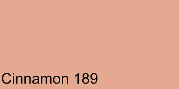 Polychromos Artist Pencil Cinnamon 189