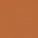 A3 Stardream Copper Pearlescent Paper 120 gsm-2