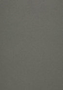 Pearlescent Premium Ionised 250 gsm card