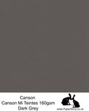 Canson Mi Teintes acid free, Dark Grey, hammered texture honeycomb surface paper 160 gsm. This is a popular and classic paper for all artists especially well respected for Pastel and Papercutting made famous by Paper Panda. This paper has a honeycombed finish one side and fine grain the other. An authentic art paper, acid free with a  very high 50% cotton content. Canson Mi-Teintes complies with the ISO 9706 standard on permanence, a guarantee of excellent conservation  
