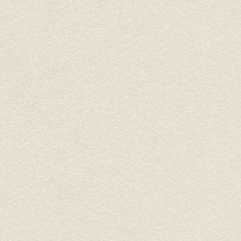 Stardream Diamond Pearlescent Card: Light Ivory  285 gsm