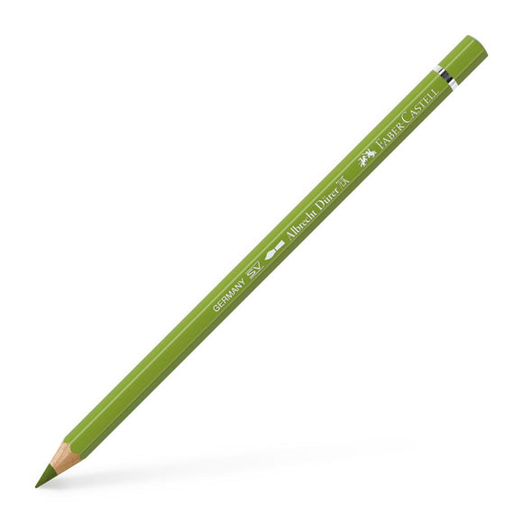 Albrecht Dürer Artist Pencil Earth Green Yellowish 168