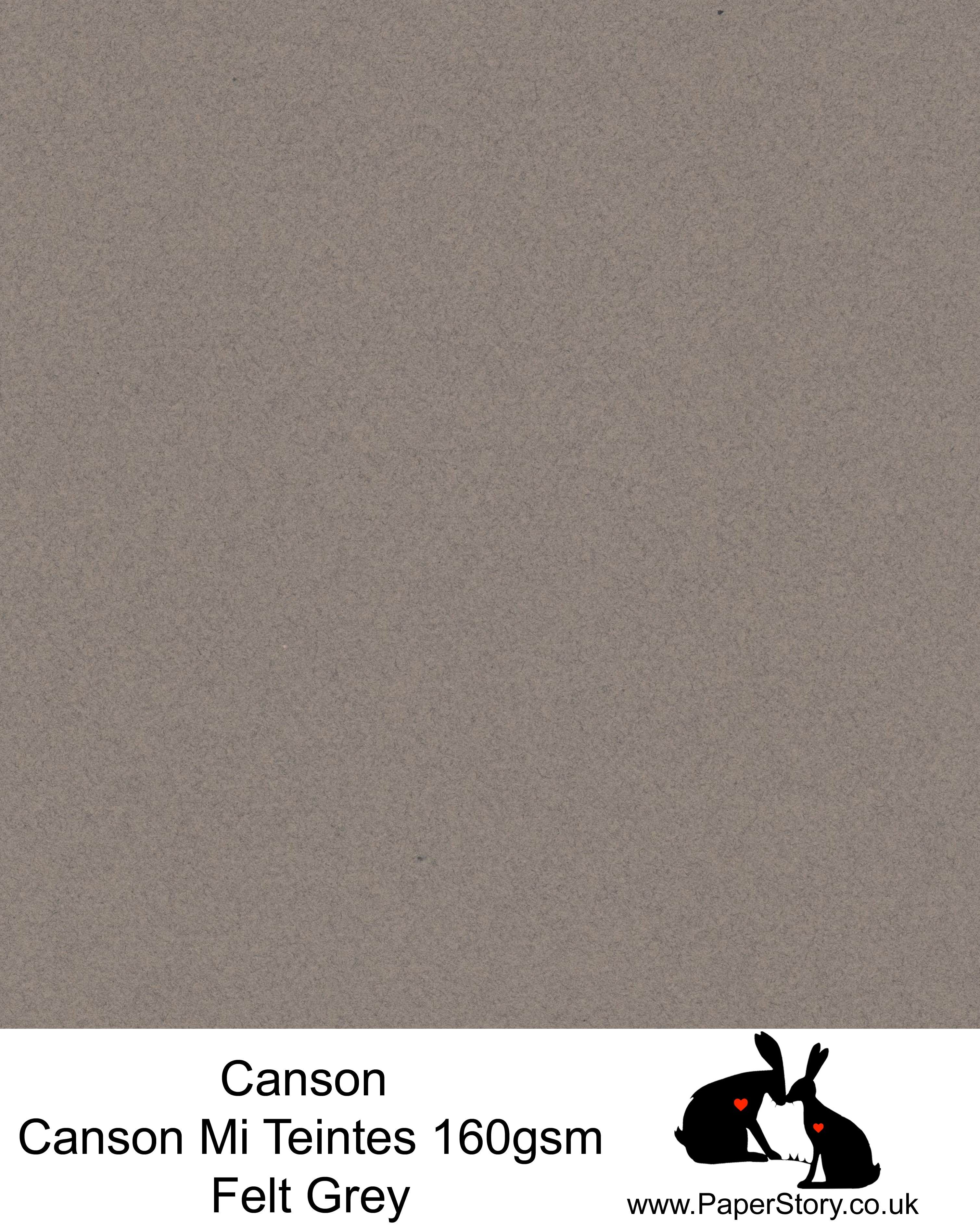 Canson Mi Teintes acid free, Felt Grey, warm grey brown, hammered texture honeycomb surface paper 160 gsm. This is a popular and classic paper for all artists especially well respected for Pastel  and Papercutting made famous by Paper Panda. This paper has a honeycombed finish one side and fine grain the other. An authentic art paper, acid free with a  very high 50% cotton content. Canson Mi-Teintes complies with the ISO 9706 standard on permanence, a guarantee of excellent conservation  
