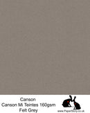 Canson Mi Teintes acid free, Felt Grey, warm grey brown, hammered texture honeycomb surface paper 160 gsm. 