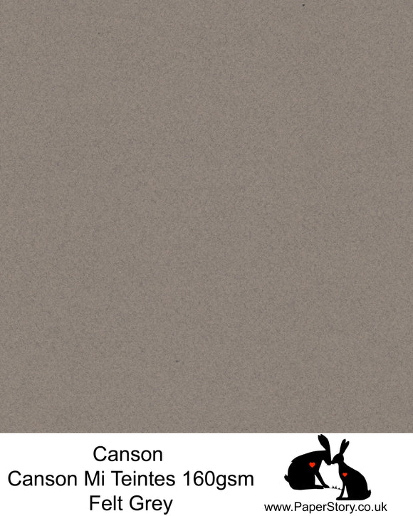 Canson Mi Teintes acid free, Felt Grey, warm grey brown, hammered texture honeycomb surface paper 160 gsm. This is a popular and classic paper for all artists especially well respected for Pastel  and Papercutting made famous by Paper Panda. This paper has a honeycombed finish one side and fine grain the other. An authentic art paper, acid free with a  very high 50% cotton content. Canson Mi-Teintes complies with the ISO 9706 standard on permanence, a guarantee of excellent conservation  