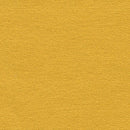 Stardream Fine Gold  Pearlescent Paper : Gold 120 gsm