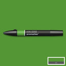 Forest Green colour Winsor & Newton Promarker alcohol pen, perfect for fine artists and illustrators. New design pens with a double end, each pen has a fine bullet point and a broad chisel nib, which allows you to easily switch between shading larger areas and precision detailing. Superb alcohol-based streak-free coverage so you can achieve flawless, print-like results.  