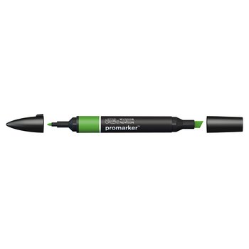 Forest Green colour Winsor & Newton Promarker alcohol pen, perfect for fine artists and illustrators. New design pens with a double end, each pen has a fine bullet point and a broad chisel nib, which allows you to easily switch between shading larger areas and precision detailing. Superb alcohol-based streak-free coverage so you can achieve flawless, print-like results.  