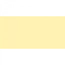 Polychromos Artist Pencil Cream 102