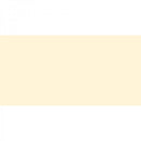 Polychromos Artist Pencil Ivory 103