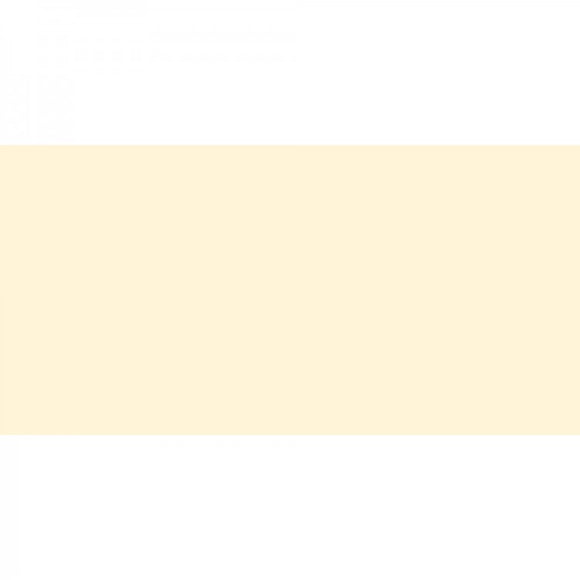 Polychromos Artist Pencil Ivory 103