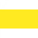 Polychromos Artist Pencil Light Cadmium Yellow 105