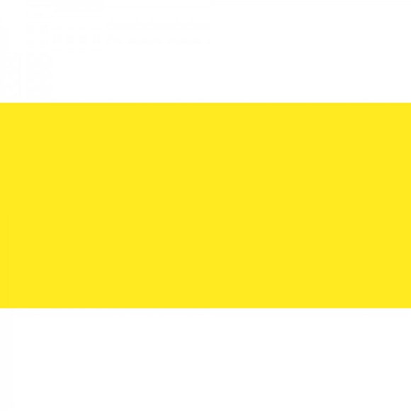 Polychromos Artist Pencil Light Cadmium Yellow 105