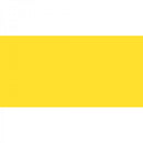 Polychromos Artist Pencil Light Chrome Yellow 106