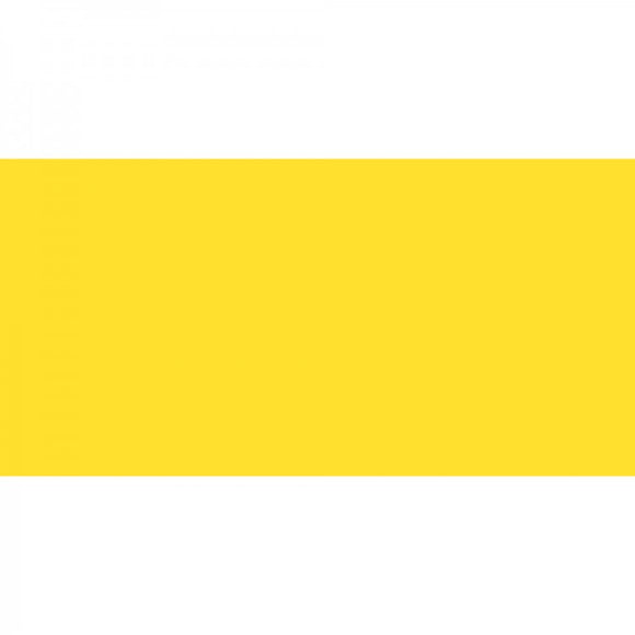 Polychromos Artist Pencil Light Chrome Yellow 106