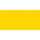 Polychromos Artist Pencil Cadmium Yellow 107