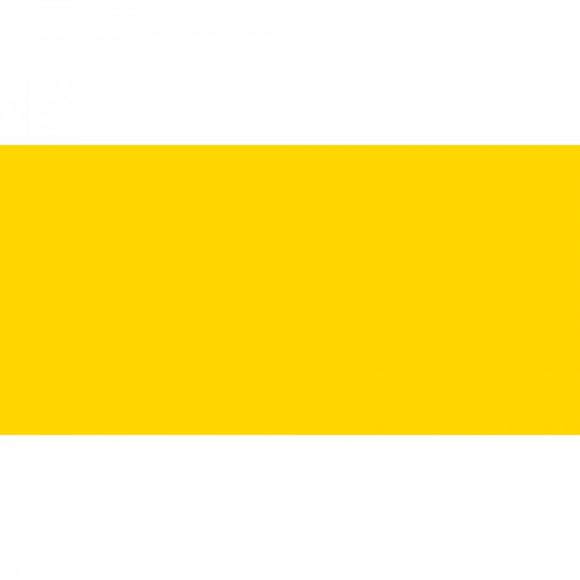 Polychromos Artist Pencil Cadmium Yellow 107