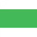 Polychromos Artist Pencil Leaf Green 112