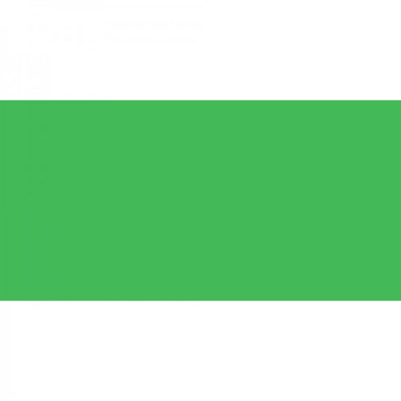 Polychromos Artist Pencil Leaf Green 112