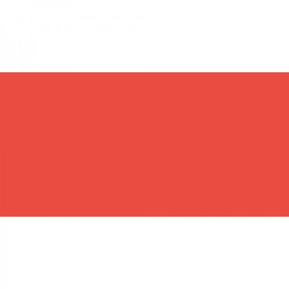 Polychromos Artist Pencil Scarlet Red 118